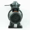 Bomba Alaska plus 3/4 CV 230 V Mono