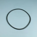 Replacement filter Coral Standard cover gasket