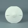 Skimmer recambio tapa cesto con tap