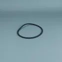 Pompvervanging Astralpool O-ring 151,7 x 6,99