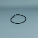 Substituição da bomba Astralpool O-ring 151,7 x 6,99