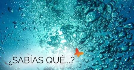 55 - Diferencias entre alcalinidad y Ph alcalino - Quimipool