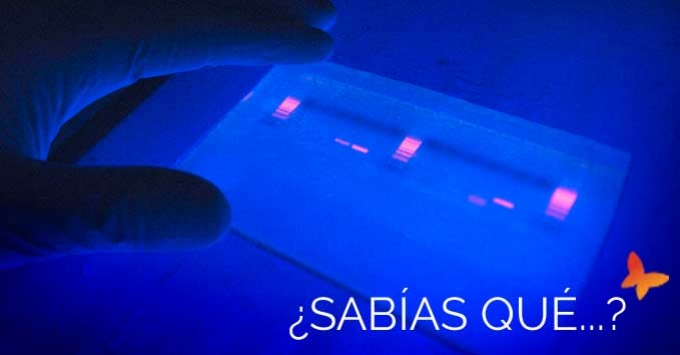97 - Uso de la desinfección ultravioleta para agua de piscina - Quimipool