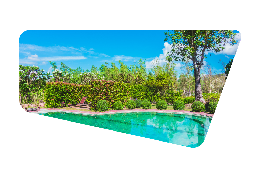 ¿Por qué el agua de tu piscina se pone verde en primavera y cómo evitarlo definitivamente?