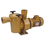 Ersatzteile Pumpe Astralpool Baikal SP-3000