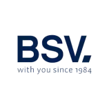Salt chlorinators BSV