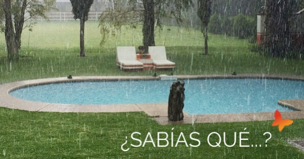 ¿Sabías que la lluvia afecta a tu piscina?