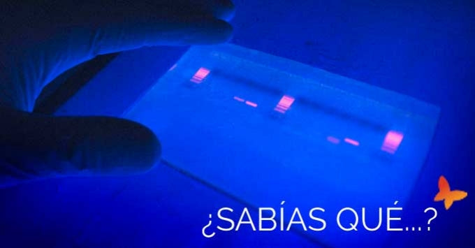Uso de la desinfección ultravioleta para agua de piscina