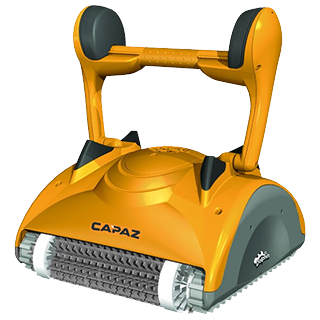 Recambios para Dolphin Capaz