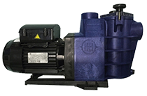 Spare parts pump Hayward Starpump II
