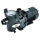 Recambios bomba Zodiac FloPro