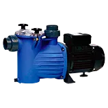 Recambios bomba Zodiac Bluflo