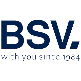 Recambios cloradores BSV
