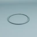 Spare part ESPA Pump Pre-filter O-ring old