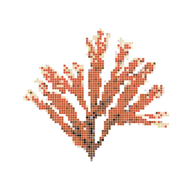 Dibujo gresite HT-K Fucus rojo