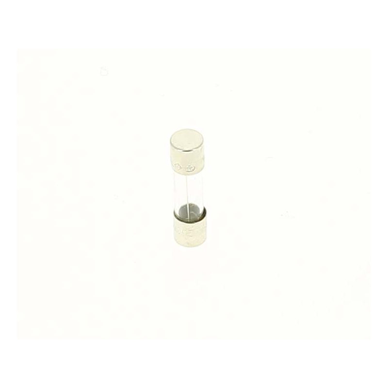 Recambio clorador Zodiac TRi  Fusible M205 2,5 A T