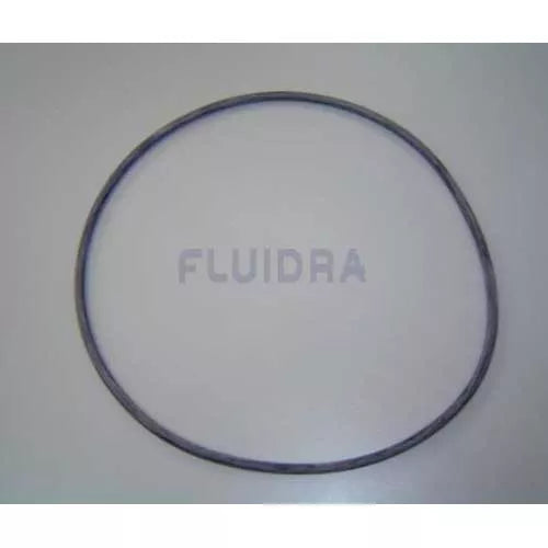 Guarnizione del coperchio del filtro Astralpool