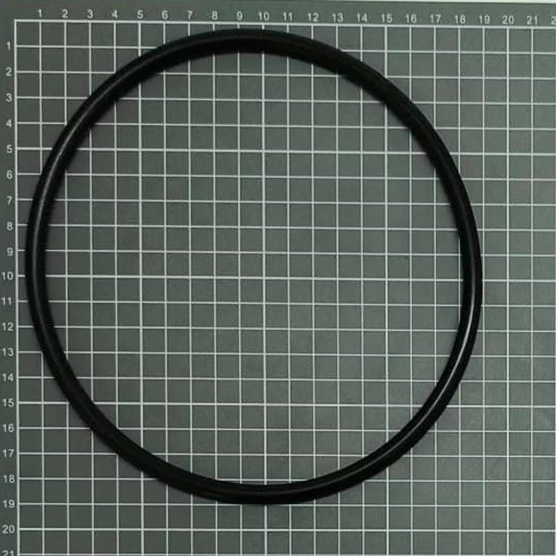 Recambio ESPA Bomba Junta tórica prefiltro Flipper 2NS