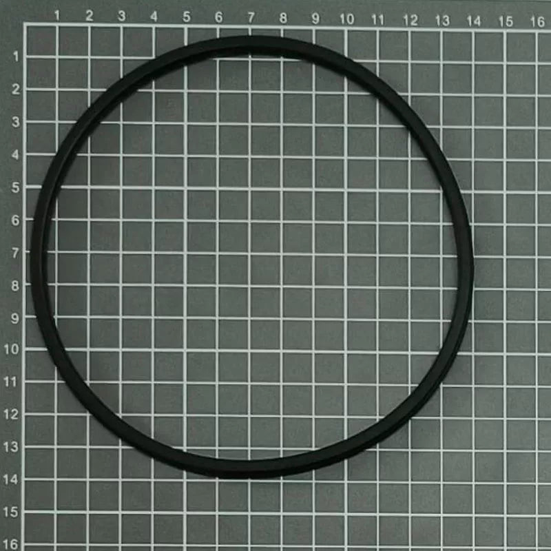 Ricambio ESPA Pompa Prefiltro O-ring vecchio