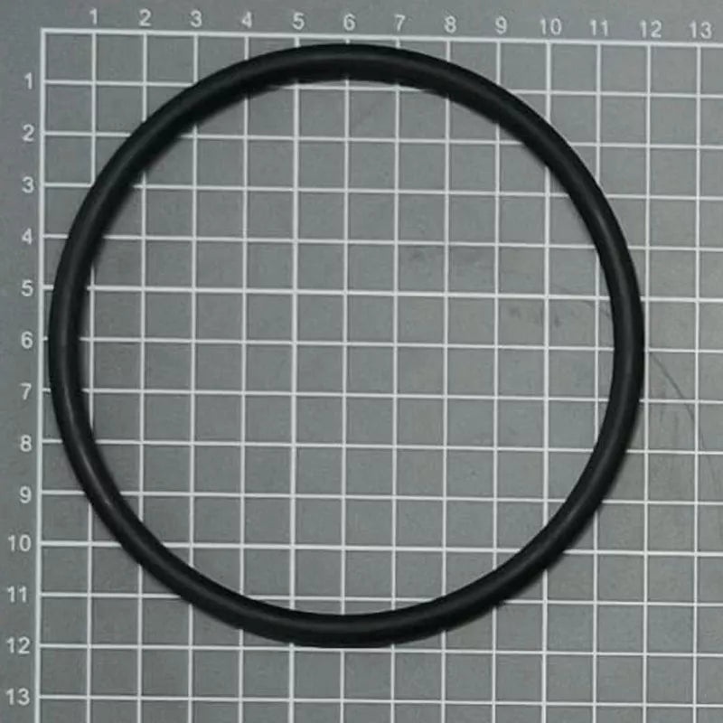 Ricambio ESPA Pompa Prefiltro O-ring nuovo