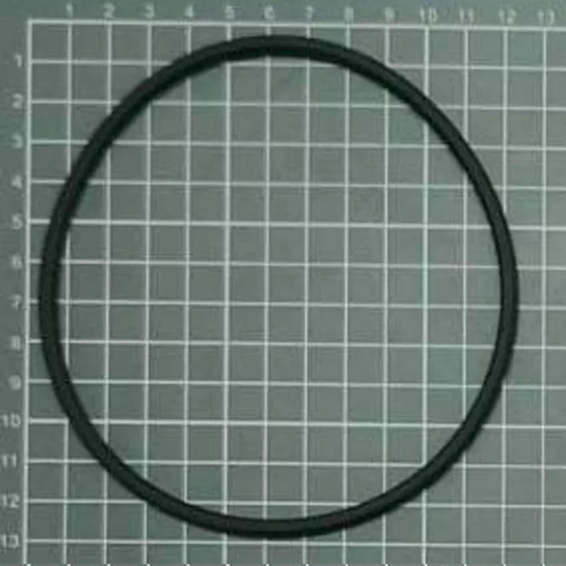 Ersatzteil ESPA Iris Pump O-Ring Vorfilterdichtung alt