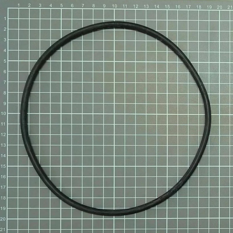 Ersatzfilter Astralpool Kunststoffband + Dichtung