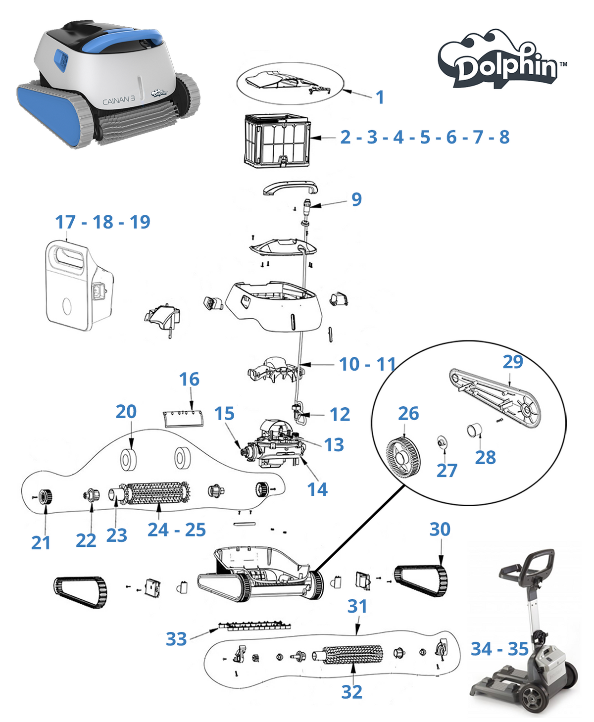 Recambios para Dolphin Cainan 3