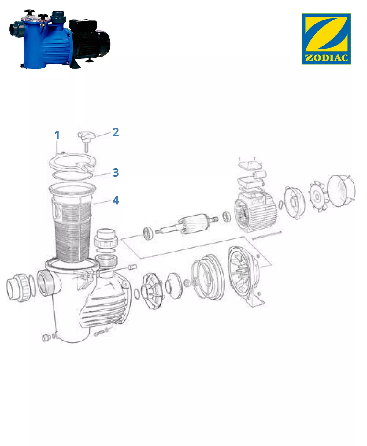 Recambios bomba Zodiac Bluflo