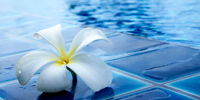 De zoutchlorator desinfecteert het zwembadwater automatisch en effectief zonder dat er chemicaliën nodig zijn.