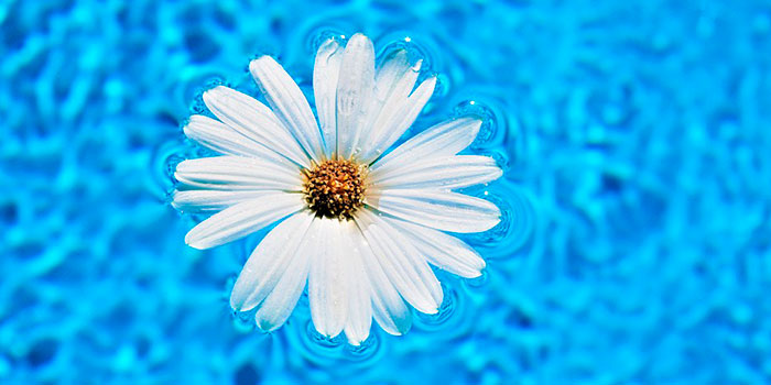O clorador de sal desinfecta automática e eficazmente a água da piscina sem necessidade de produtos químicos.