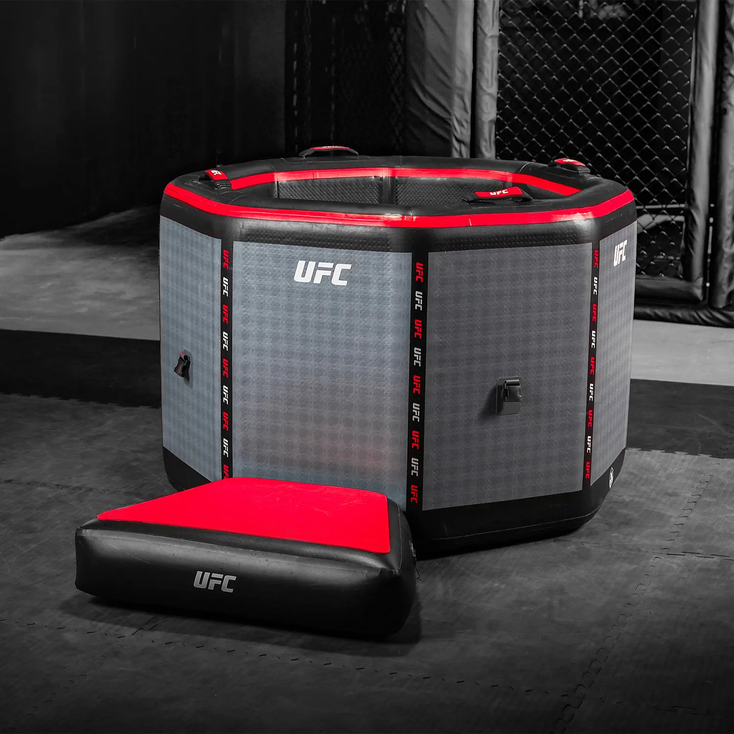 UFC-Octagon-desc01.webp