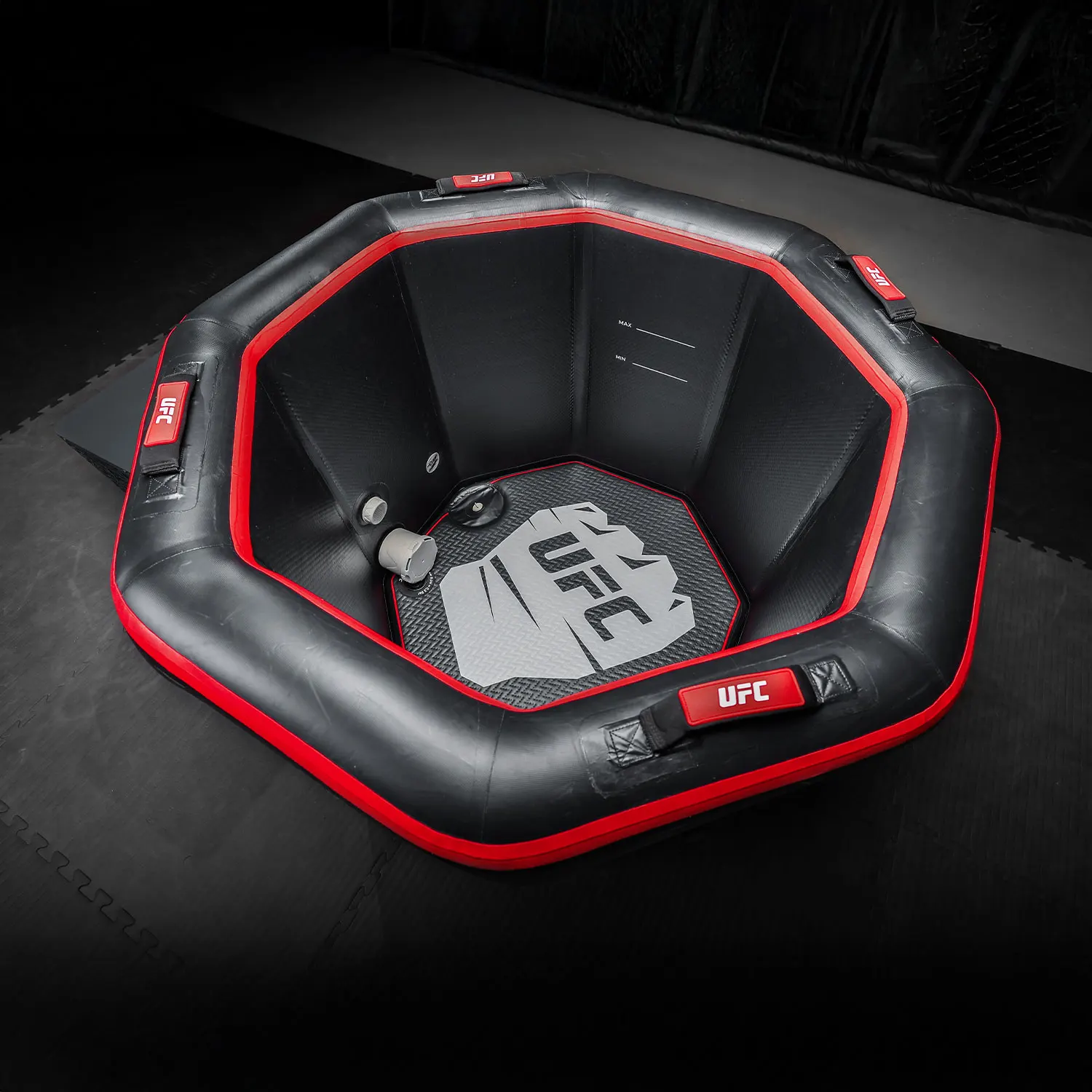 UFC-Octagon-desc02.webp