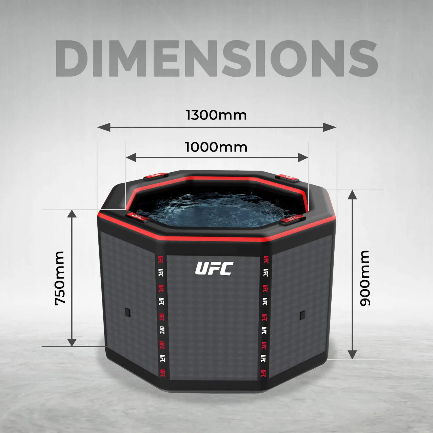 UFC-Octagon-desc06.webp