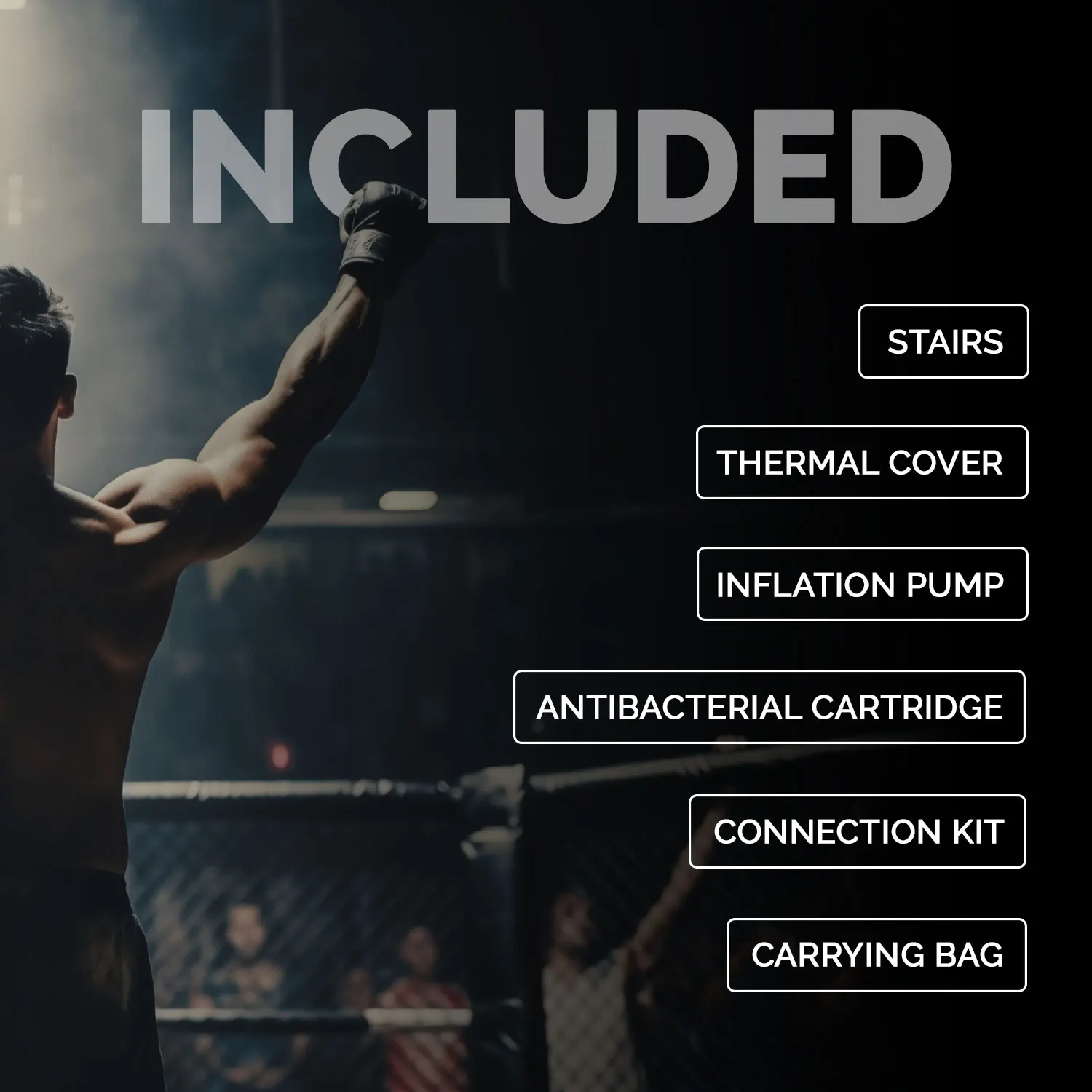 UFC-Octagon-desc07.webp