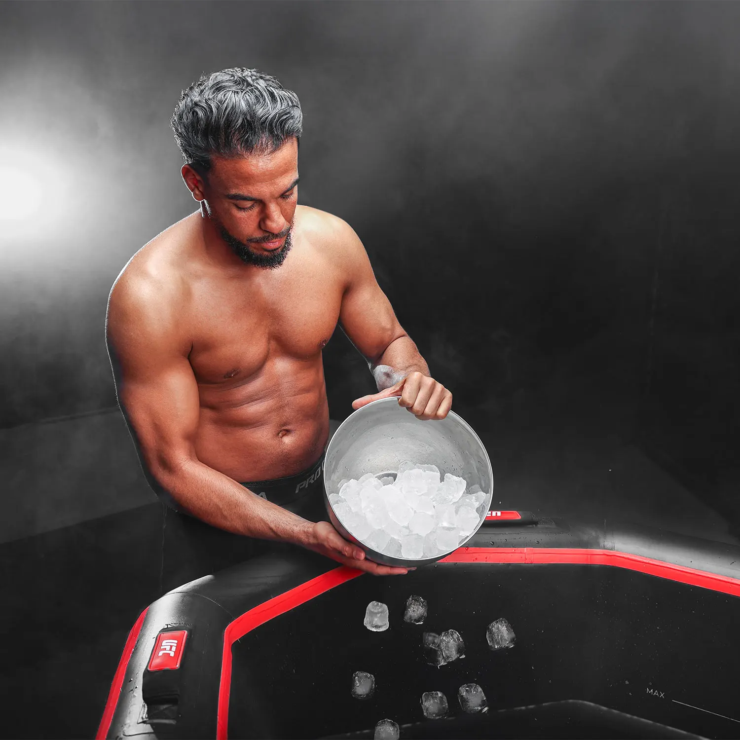 UFC-Octagon-desc08.webp